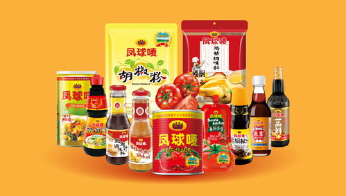 鳳球嘜 以戰略重塑品牌，用視覺點燃味蕾——調味品行業品牌全案策劃解析